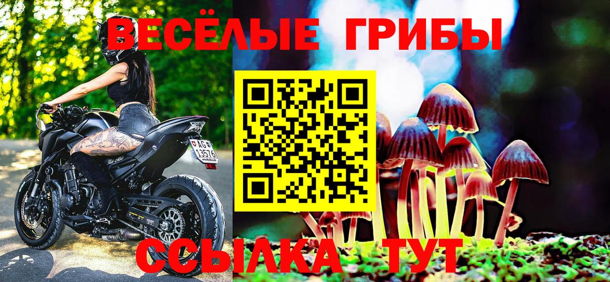 Ногинск  Галлюциногенные грибы Magic Shrooms  Вход с VPN 